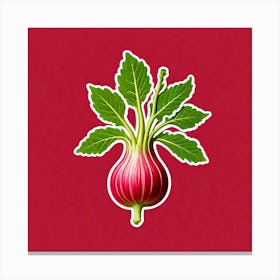 Turnip 7 Canvas Print