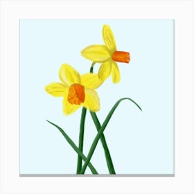 Spring Daffodils  Canvas Print