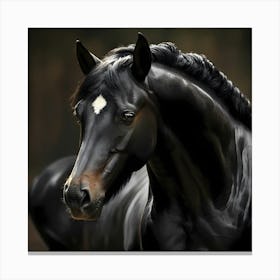 Beautiful Horse Canvas Print