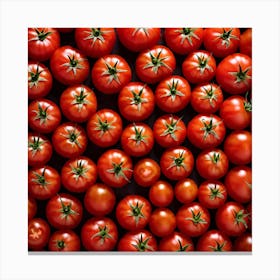 Tomatoes On A Black Background Canvas Print