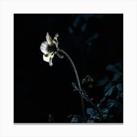 Flower In The Dark 2 Canvas Print