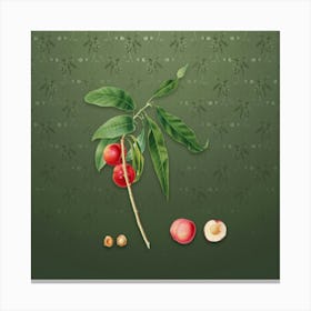 Vintage Apricot Botanical on Lunar Green Pattern n.1371 Canvas Print