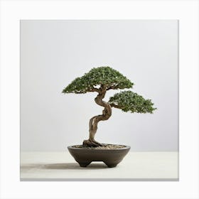 Minimalist Bonsai Tree Embodies The Essence Of Tranquility With Serene Shadows Cast On A Neutral Bac Canvas Print