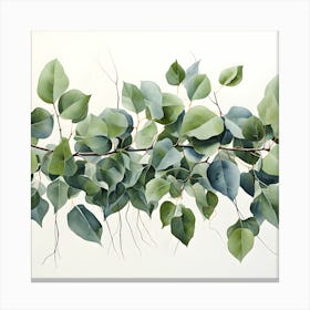 Elegant Eucalyptus Beautiful Leaf Art Canvas Print