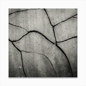 Cracked Concrete Canvas Print