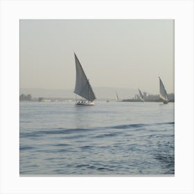 Sailboats On The Nile Canvas Print