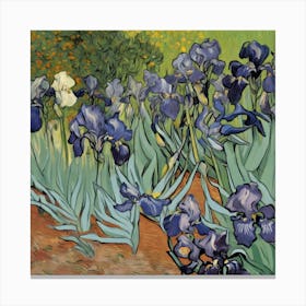 Irises, Vincent Van Gogh 3 Canvas Print