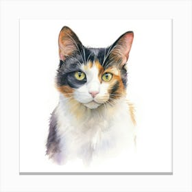 Bicolor Cat Portrait 2 Canvas Print