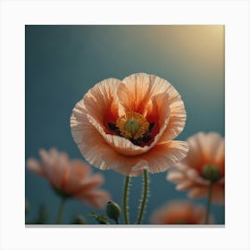 Poppy Flower 3 Canvas Print