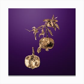 Gold Botanical Pomegranate on Royal Purple Canvas Print