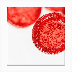 Red Gummy Bears Canvas Print