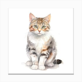 American Wirehair Shorthair Cat Portrait 1 Canvas Print
