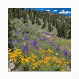 Wildflowers In The Mountains Canvas Print