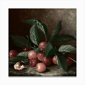 Fruit 115 1 Canvas Print