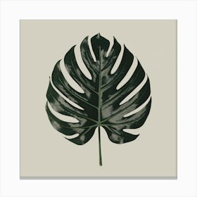 Monstera Leaf 1 Canvas Print