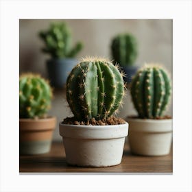 Cactus 2 Canvas Print