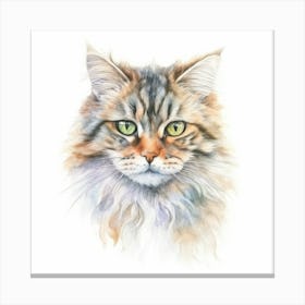 Pallass Cat Portrait 2 Canvas Print