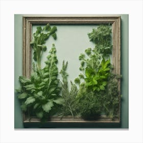 Frame Of Herbs 15 Canvas Print