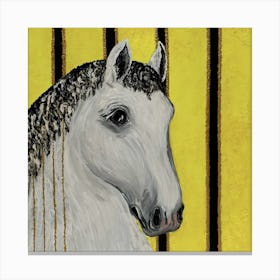 White Horse 3 Canvas Print