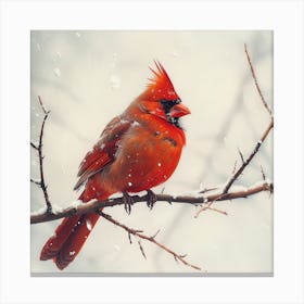 Cardinal In The Snow 2 Canvas Print