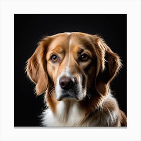 Golden Retriever Portrait Canvas Print