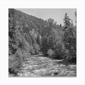 Untitled Photo, Possibly Related To Willamette National Forest, Lane County, Oregon, Salt Creek By Russell Lee Canvas Print