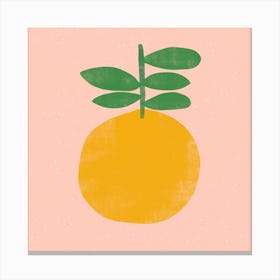 The Orange Square Canvas Print