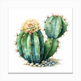 Watercolor Cactus 12 Canvas Print