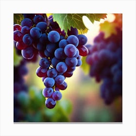 Grapes On The Vine 15 Canvas Print