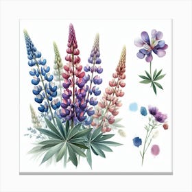 Flower of Lupine 2 Canvas Print