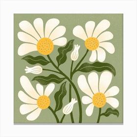 Daisy Blooms In Green Square Canvas Print