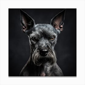 Schnauzer Canvas Print