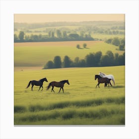 Horses In A Field Photo Canvas Print