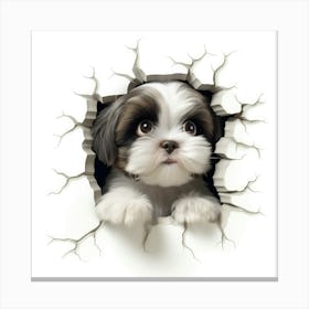 Shih Tzu 3 Canvas Print