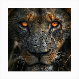 Portrait Of A Lion Canvas Print