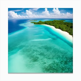 Aerial View Of A Tropical Island Canvas Print