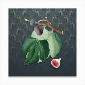 Vintage Black Fig Botanical on Slate Gray Pattern n.0782 Canvas Print