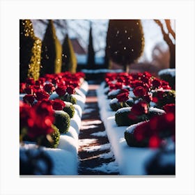 Pathway through the Red Rose Garden with Clipped Yew Canvas Print