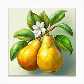 Two Yellow Pears With Flower Canvas Print