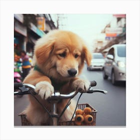 Dog On A Bicycle Canvas Print