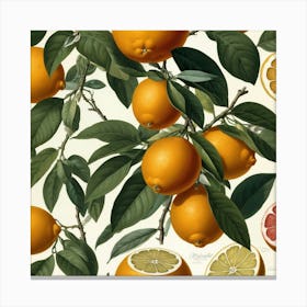 Default Vintage Redout 1 Citrus Bigaradia Art 3 Canvas Print