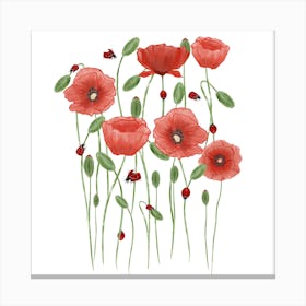 Poppies And Ladybugs Canvas Print