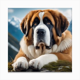 St Bernard 38 Canvas Print