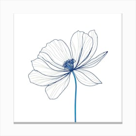 Anemone Flower 3 Canvas Print