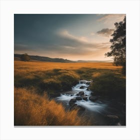 Sunset In A Field 2 Canvas Print