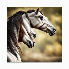 Three Horses Canvas Print