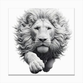 Lion On White Background Canvas Print