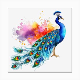 Peacock Watercolor Painting Toile