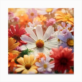 Colorful Flowers 1 Canvas Print