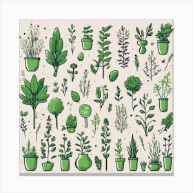 Doodles Of Herbs Canvas Print